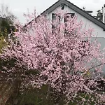 Aufenhalt In In Ruhiger Und Lage *