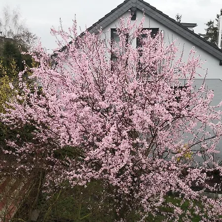 Aufenhalt In In Ruhiger Und Lage *