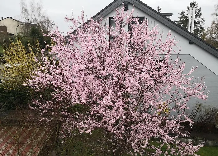 Aufenhalt In In Ruhiger Und Lage *